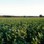 “Growing season rainfall varies a lot depending on where you are in the province and the crops that you’re growing,” says Provincial meteorology specialist, Timi Ojo.