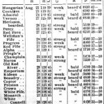 Wheat variety selections in 1898