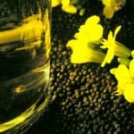 Domestic canola crush levels are running at a steady pace, but exports are lagging due to tensions with China.