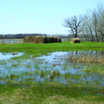 Is intermittently flooded land fish habitat? That’s what the Canadian Cattlemen’s Association wants to know.