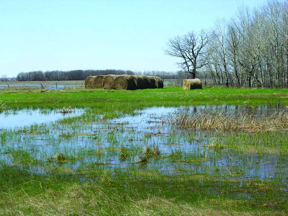 Is intermittently flooded land fish habitat? That’s what the Canadian Cattlemen’s Association wants to know.