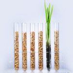 Farmers could consider partnering with plant breeders to fund new varieties as an alternative to the current seed royalty options being proposed.