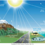 Albedo, the percentage of available sunlight reflected back into space, varies from surface to surface.