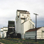 Benito had four elevators when this photo was taken in 1971. The United Grain Growers facility in the background dated from 1937. It was closed in 1997. The Federal elevator next to it was built in 1929 by Searle Grain, merged into Federal in 1966, and sold to Pool in 1972. It closed in 1983. The National elevator was built in 1912 by the British America Elevator Company, which merged into National in 1940 then sold to Federal in 1969 and to Pool in 1972. It closed in 1980. The Manitoba Pool elevator in the foreground was built in 1952 alongside two older, smaller elevators. Renovations in 1976 entailed replacement of the oldsters with a modern crib annex. This last elevator in town was closed in January 2002 and demolished later that year.