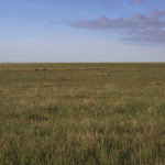 A site like the huge tract of native mixed-grass prairie of the Ellice-Archie Spy Hill community pastures is a rare sight nowadays, says a spokesman for the Manitoba Important Bird Areas Program.