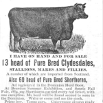 J. E. Smith purebred Clydesdales and Shorthorns