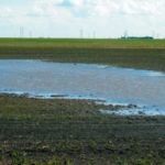 With any luck, any pockets of water will be contained and not result in any major flooding this spring.