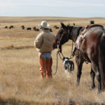 Having contact with your cattle — whether they’re on pasture or in a feedlot — can pay significant dividends.