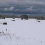 We have more than enough snow in many parts of Manitoba as we head into spring.