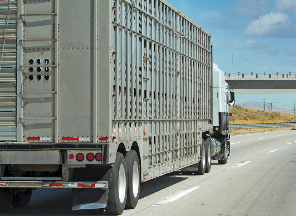 Livestock transportation is among the issues to be codified under a new funding arrangement.