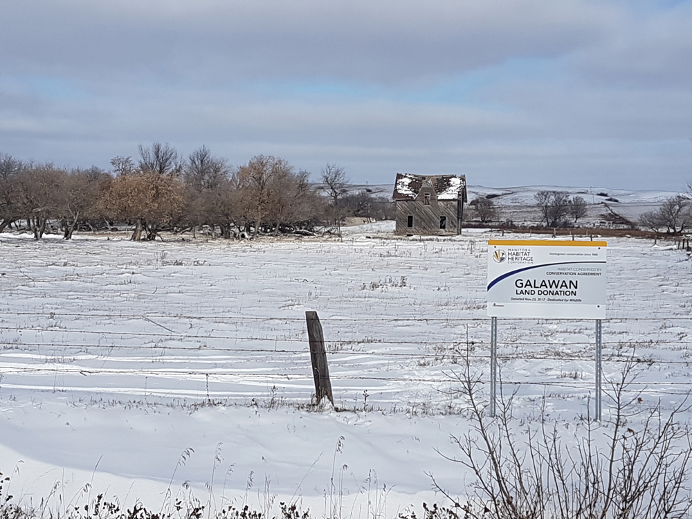 The 160-acre plot northeast of Virden has never been broken and for the most part, kept completely intact.
