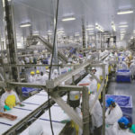 HyLife Foods staff work in the recently expanded integrated pork-processing plant in Neepawa.
