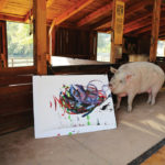 Pigcasso, a rescued pig, paints on a canvas at the Farm Sanctuary in Franschhoek, outside Cape Town, South Africa February 21, 2019.