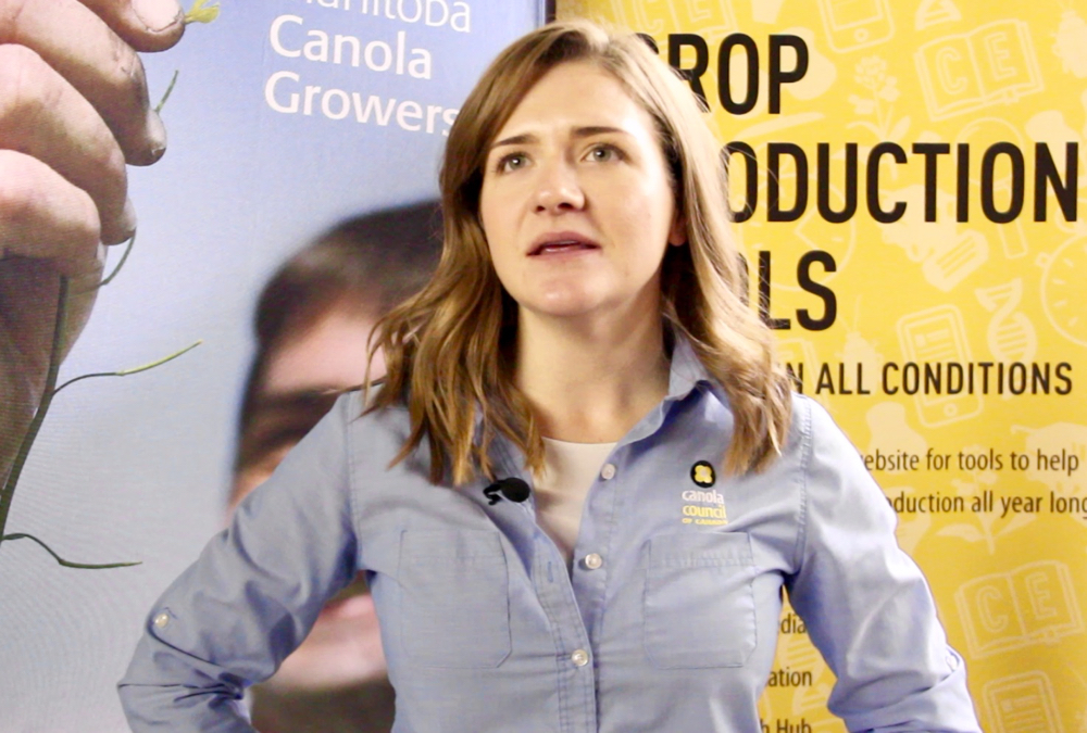 VIDEO: Finding solutions to harvest loss