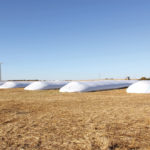Continue to monitor grain stored in bags frequently. Grain bags that run east-west will have solar heating on the south side, which creates a temperature variation  that will move moisture to the north side.