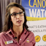 VIDEO: Stemming the spread of blackleg