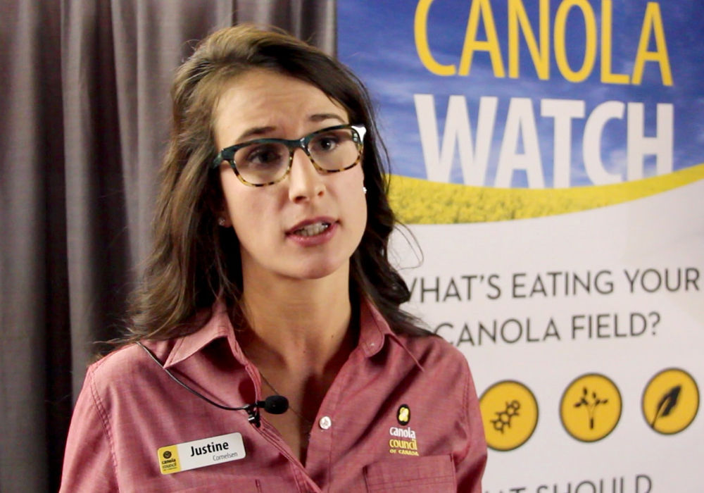 VIDEO: Stemming the spread of blackleg