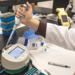 Lateral flow strip technology has made testing for DON faster and less expensive. The newest Raptor machine shown here in the CGC’s Grain Research Laboratory can run three samples simultaneously. The cartridge system also allows three replicates of a single sample to be run in the same well. The test takes three minutes. Once loaded the device operates unattended.