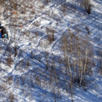 Wild pigs are very hard to spot and track, often requiring aircraft.