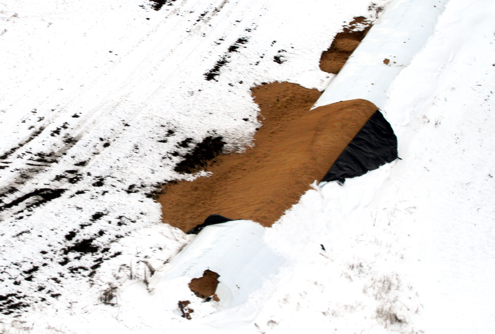 Wild pigs will root and trample crops and tear open grain bags.