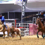 Shane and Lonnie Brown in action at the 2018 CCA Finals Rodeo in Swift Current, Sask.