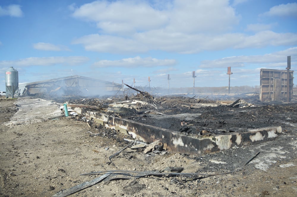 The Doerksens’ layer barn the day after the fire. Much of the metal sheeting from the exterior was pulled away to access the fire and is stacked off to the side. The fire is estimated to have caused $2.5 million in damages.