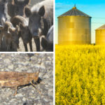 In Your Co-operator this Week: May 30