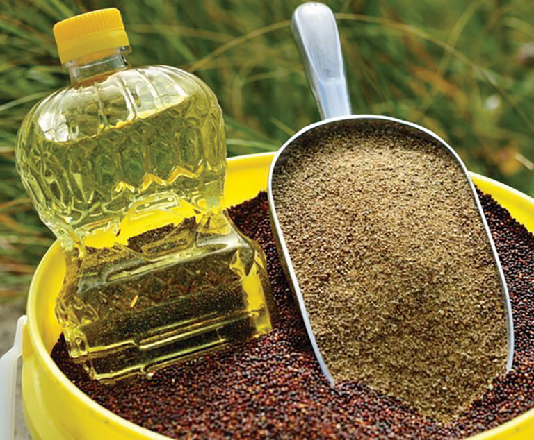 Canola crush processing near capacity Manitoba Cooperator