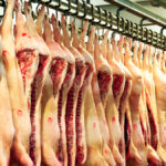 pork carcasses
