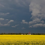 Rain ok, frost less welcome on fields