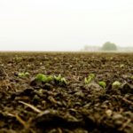 Beating the heat on seed-placed fertilizer
