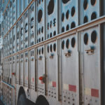 Cattle volumes in Manitoba are expected to drop off over the next few weeks, as cattle are turned out to grass and mixed farmers begin spring seeding.