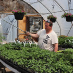 Travis Walker waters vegetable bedding plants in his greenhouse
east of Rivers.