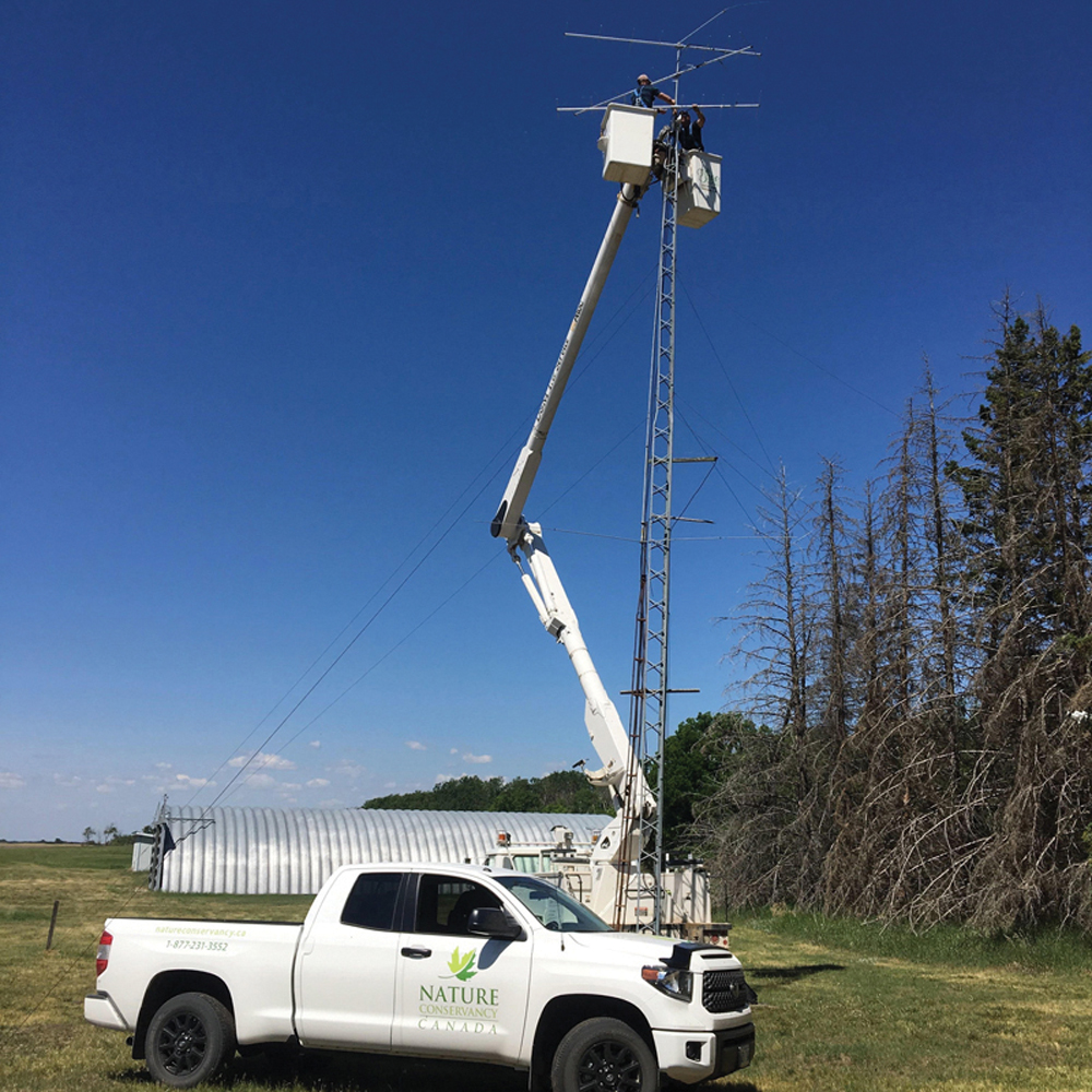 Observation towers near Oak Lake will track shorebirds living in and passing through the area.