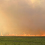 Despite farmers employing back burning and fire guards to keep wildfires from reaching their fences, many will still lose fences.