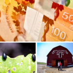 In Your Co-operator this Week: June 6