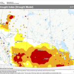 Agriculture and Agri-Food Canada’s Drought Monitor has reported 37 per cent of Western Canada is in a moderate to severe drought.