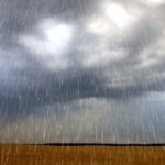 Wet conditions this spring made planting quite difficult, especially for corn and soybeans.