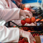 Canada’s food-processing industry employs more than a quarter of a million people across the country.