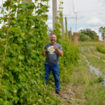 Chris Wararuk surveys one of Farmery’s hops yards, near Neepawa.