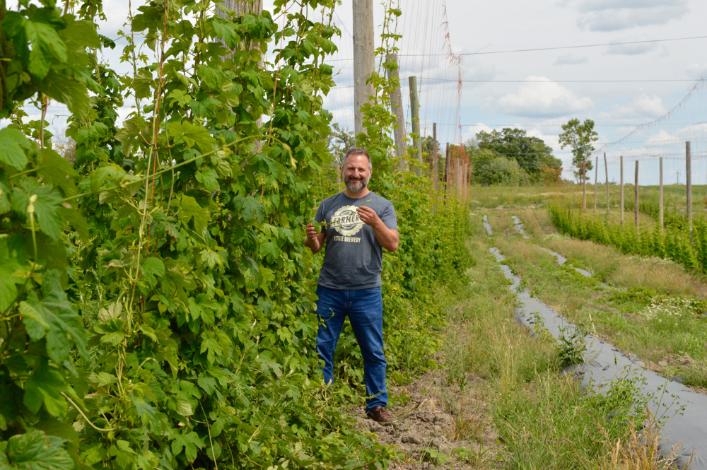 Chris Wararuk surveys one of Farmery’s hops yards, near Neepawa.