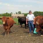 KAP president Bill Campbell, who farms near Minto, says crop producers are thankful for the rain. Cattle producers continue to struggle with the fallout from prolonged drought.