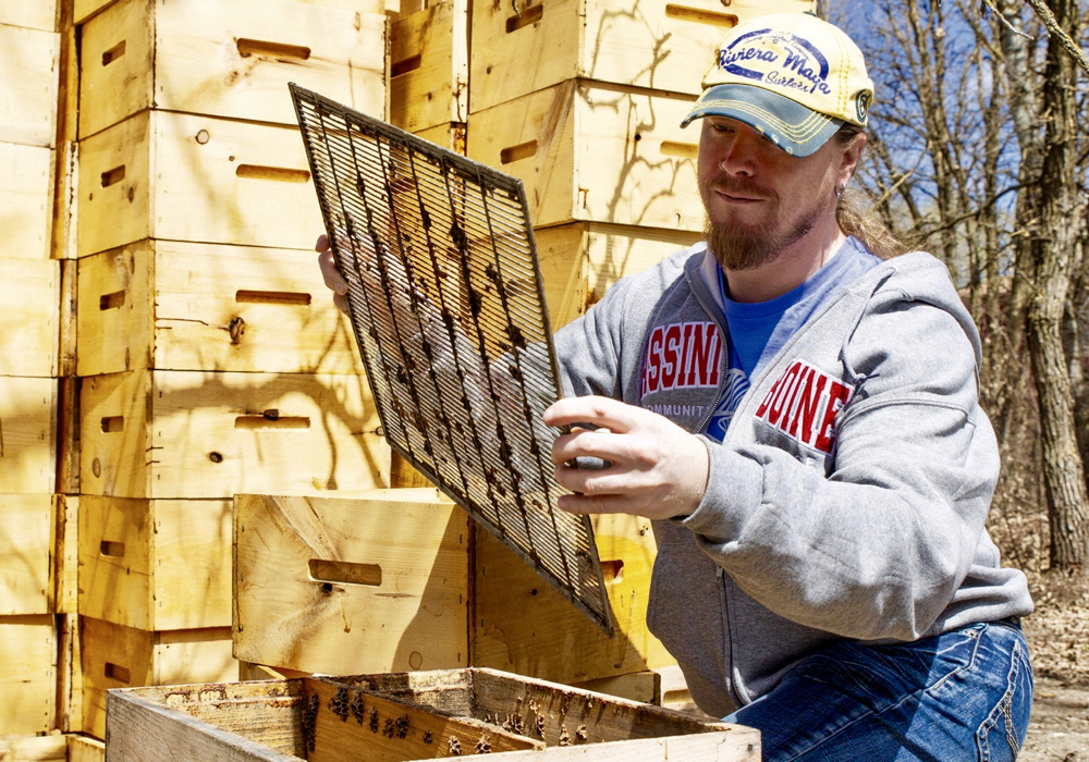 Kent Collins, recent graduate in Communications Engineering Technology at Assiniboine Community College, examines a beehive at 4K Honey.