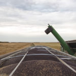 Canola shipments to China have been under scrutiny for years Buth said.