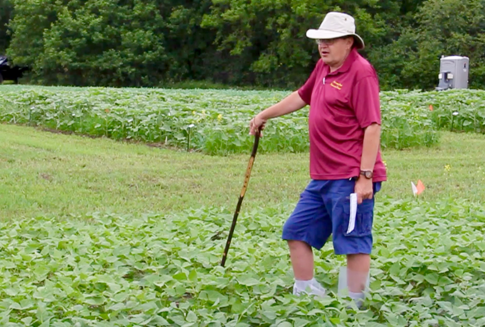 VIDEO: Bean development in Manitoba
