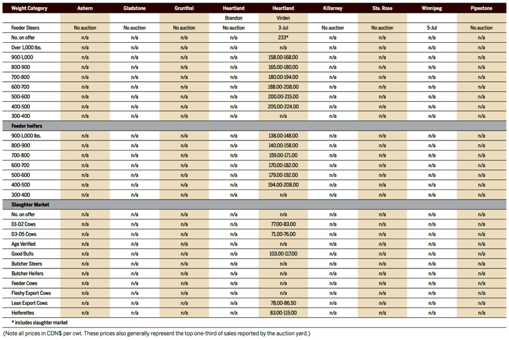Feed prices, strong loonie drag down cattle values