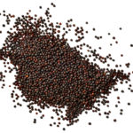 Since March Canadian canola exports have increased to some other countries, but not enough to offset what’s expected to be an extra million tonnes of potentially price-depressing canola carry-over at the end of the crop year July 31.