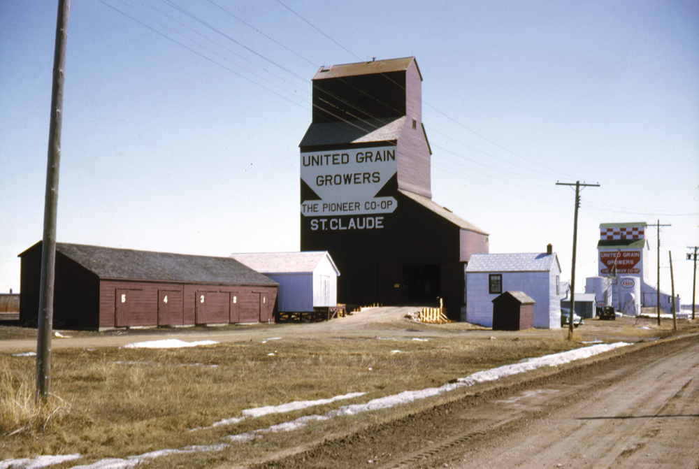 When this photo was taken in 1962, St. Claude had two United Grain Growers elevators. The older one, in the background, was built by Ogilvie Flour Mills around 1914. Sold to Manitoba Pool in 1959, it was traded to UGG the following year. The younger elevator in the foreground was built by UGG in 1927 to replace an earlier structure purchased from the provincial government. Also visible on the extreme left is a common fixture of many elevators in earlier days: a coal shed to supply local residents with this once-important, now obsolete heating fuel. Closed around 1991, both elevators have been gone for years.