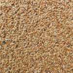 Canary seed is not one of the 20 crops covered under the Canada Grain Act and therefore is ineligible for security. 