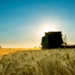 Argentina's grain harvest is sure to boost the South American country's position in global markets.